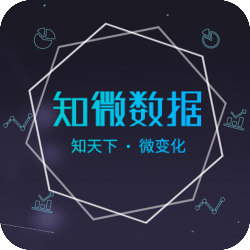 知微数据